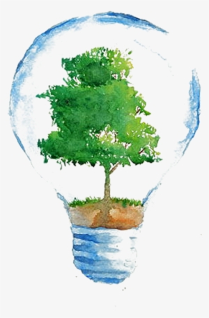 Low Carbon Enterprise - Incandescent Light Bulb