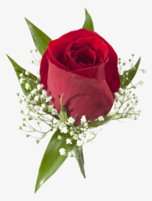 Red Rose Boutonniere - Colonial House Of Flowers