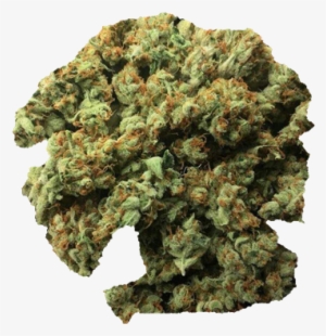 Buy Ak 47 Buds Online - Cannabis