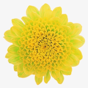 Imágenes Gratuitas De Excelente Calidad - Portable Network Graphics