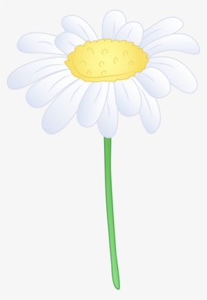 Background Clipart Daisy - Common Daisy