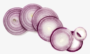 Red Onion - Onion Sliced Transparent Png
