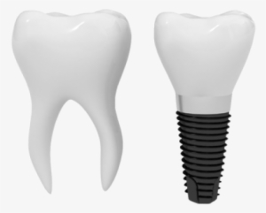 Teeth Png Free Download - Teeth Png