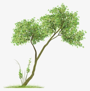 Transparent Tree Png Clipart - Trees Png