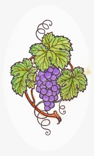 This Is Colored With Watercolor - Grape