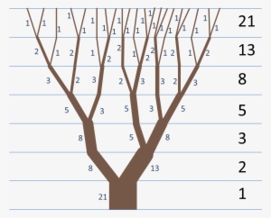 Fibonacci Sequence And Fractals