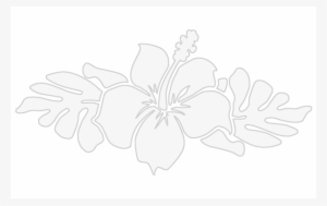 Hibiscus Black And White Border