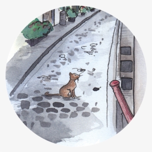 Biggest Misconception About Istanbul - Black Cat