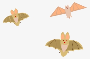 How To Set Use Bats Svg Vector