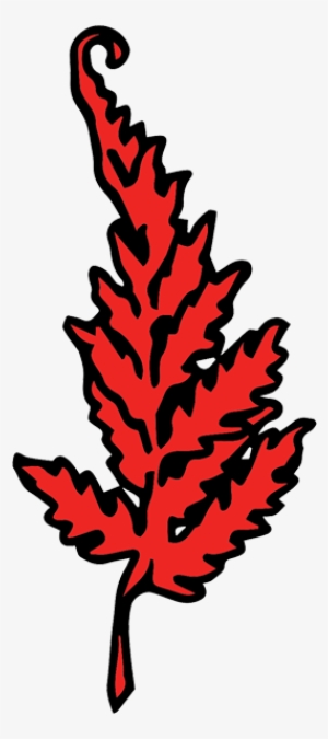 Our Menus - What's A Red Fern Look Like