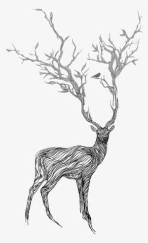 28 Collection Of Reindeer Drawing Tumblr