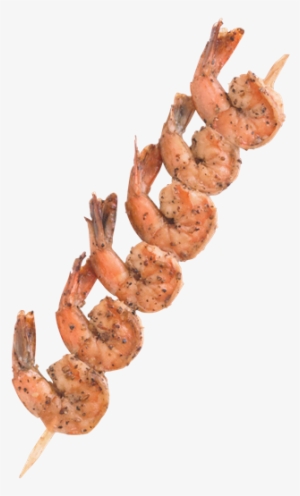 100% Natural Cooked Shrimp Skewers 3oz - Connecticut