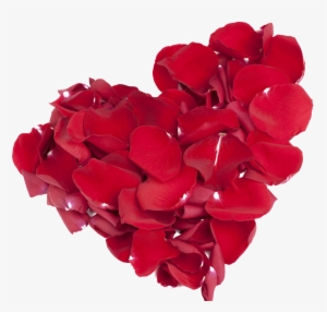 This Graphics Is Rose Petals Red Love Design About - Corazon Petalos De Rosa Png