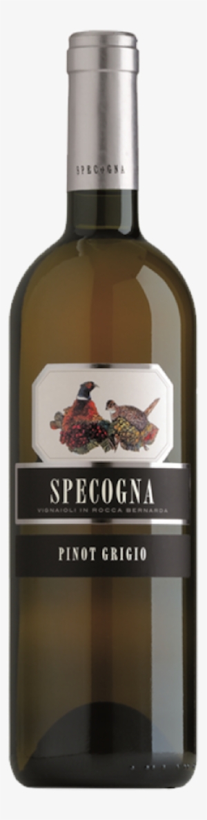 This Wine Is Sure To Be A Conversation-starter, You - Specogna Pinot Grigio Ramato