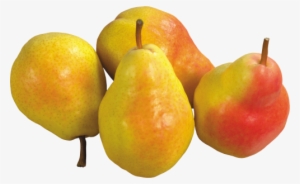 Pear - Груши Png