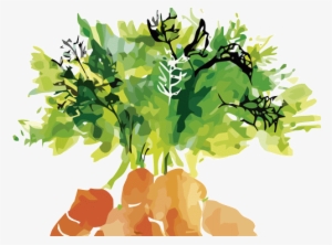 We Also Work Multiple Formats, Sizes And Types Of Plastic - Carrots Watercolour