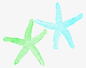 Turquoise And Lime Green Starfish Png Svg Clip Art