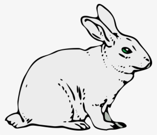 How To Set Use Gray Rabbit Svg Vector
