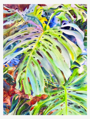 Feel The Heat In Isla Morado - Heat