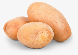 Download Potato Png Image - Potatoes With Transparent Background