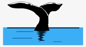 Cropped Tpeci Whale