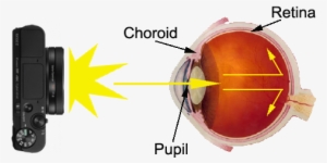 How People Get Red Eyes - Sony Dscrx100m5 Digital Still Camera