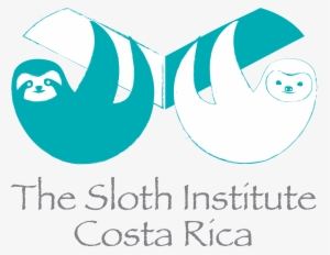 Sloth Clipart Costa Rica - Eucharist: The Body Of Christ