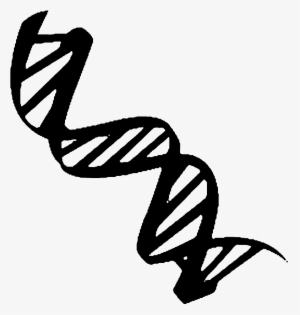 Dna Emblem Bo - Thyroid