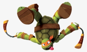 Turtle Birthday Parties, Ninja Turtle Birthday, Ninja - Mikey Tmnt