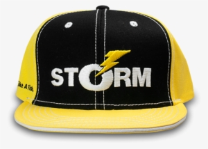 Think Like A Fish Snapback - Storm Fishing