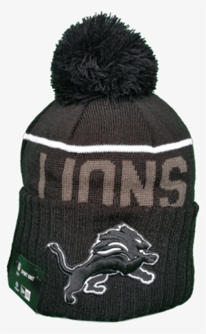 Detroit Lions