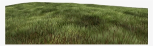 Testcomposite Trees Grass - Grass Concept Art Png