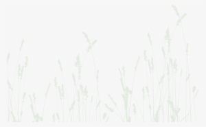 Grass Purple Bar - Stickers Muraux Nature : Epis De Blé