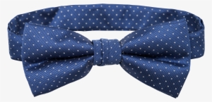 Tarocash Bow Tie Spot
