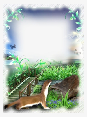 Frame Photo Nature Png