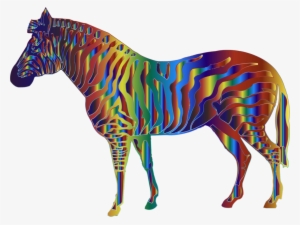 Quagga Mane Horses Zebra - Horse