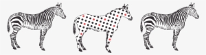 Zebra - Brand