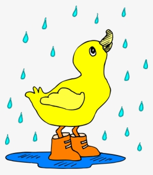 Having Some Rain Can Greatly Effect Your Day - Ducky In The Rain
