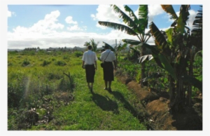 The Church Of Jesus Christ Of Latter-day Saints In