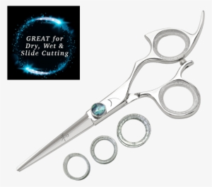 Right Hand Monarch Non-swivel Stainless Cutting Shear - Shark Fin Standard Shear Scissor Blue 5.5 Inch Non