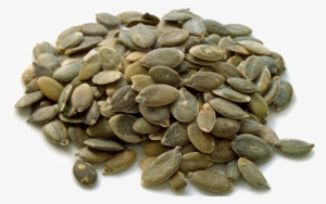 Pumpkin Seeds Transparent - Pumpkin Seed