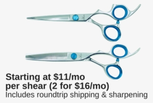 Choose From Premium Or Elite Shears - Scissors