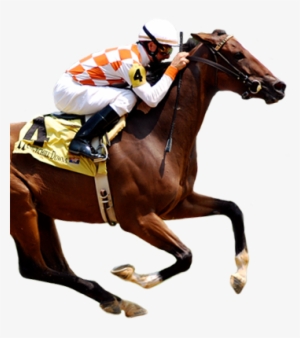 If You're Looking To Become A Successful Horse Racing - Beginner's Guide To Horse Racing And Wagering