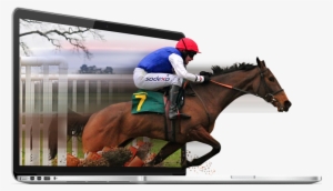 Fidelity It Race Horse - Wordpress