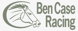 Race Horse Png