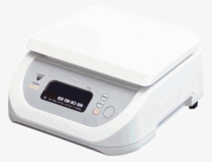 Ds 673 Digital Weighing Scale - Empire State Society Of Association Executives, Inc.