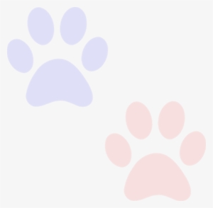 Background - Paw
