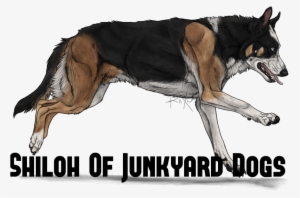 Panda Shepherd By Riixon-d6bhpfx - Panda German Shepherds