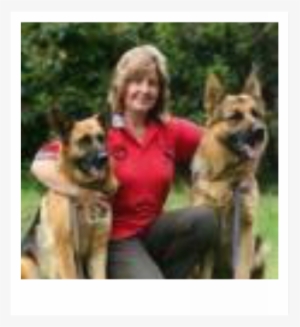 Welcome To Brayline German Shepherdswith Helen Squires - German Shepherd