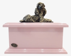 Urna Rosa Exclusiva, Patente Pet Memorial - Bust